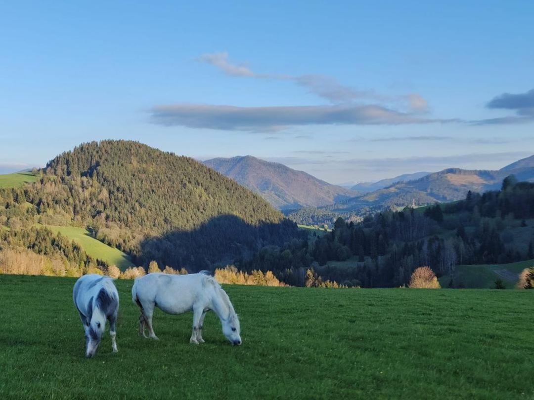 Penzion Zázrifka Zázrivá Exterior foto